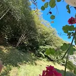 Garsoniera Flori - Sinaia