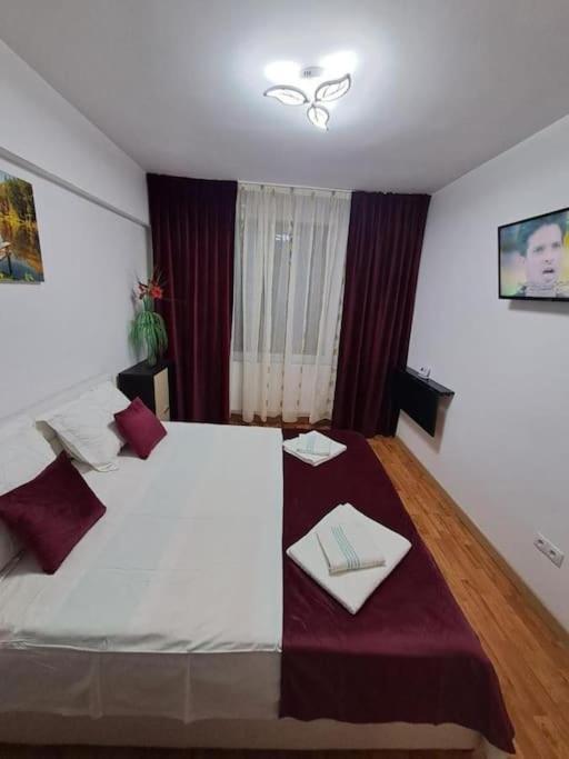 Apartament Garsoniera Flori -